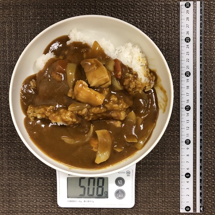 大皿1皿・1人前のトマトカレー