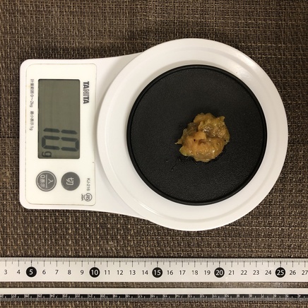 10g分のねぎ味噌