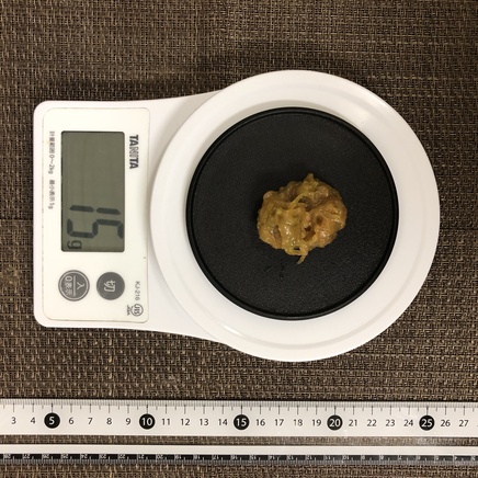 15g分のねぎ味噌