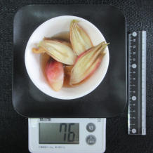 みょうがの甘酢漬け 76g