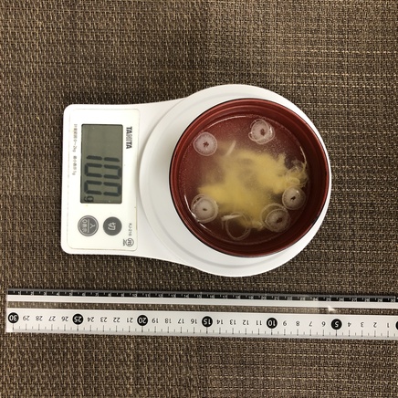 100g分の生姜スープ