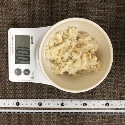 100g分の生姜ご飯