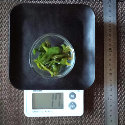 ピーマンのきんぴら 17g