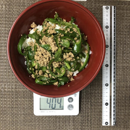 丼1杯・1人前のピーマン丼