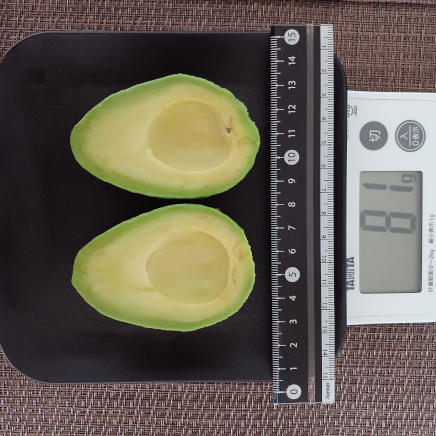 アボカド 81g