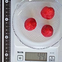 いちごミルクに使ういちご44g