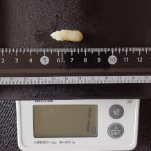 おろしにんにく 1g