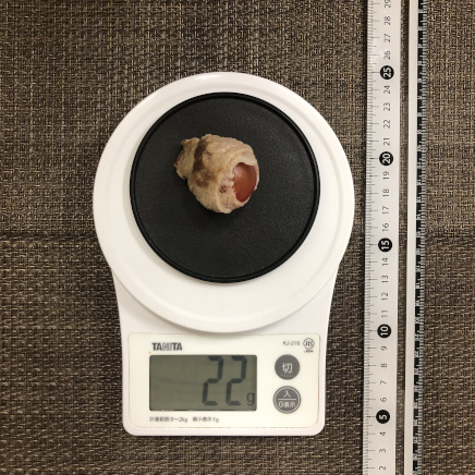 丸平皿1枚・1個分のミニトマトの肉巻き