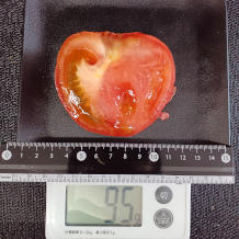 トマト 95g