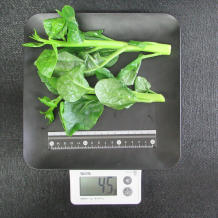 つるむらさき 45g