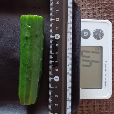 きゅうり 47g