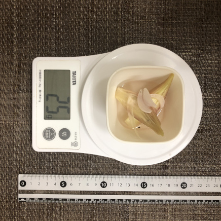 おつまみ皿1杯分のみょうがのピクルス