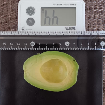 アボカド 44g