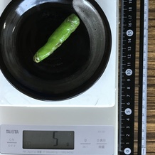 ししとう焼き1本 5g