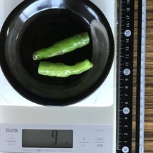 ししとう焼き2本 9g