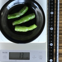 ししとう焼き3本 13g