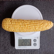 とうもろこしご飯 2