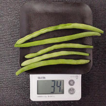 いんげんのきんぴら 2