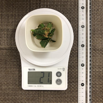 半人前のオクラの胡麻和え