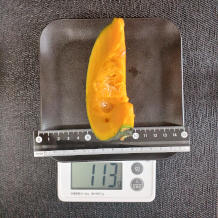 かぼちゃ 113g