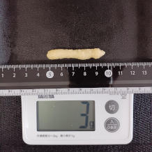 おろしにんにく 3g