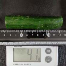 きゅうり 41g