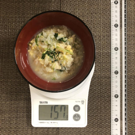 半人前の鶏雑炊