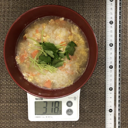 丼1杯・1人前の鮭雑炊