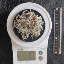 釜揚げしらす 10g