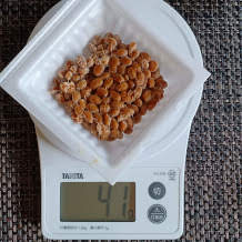 納豆キムチご飯 2