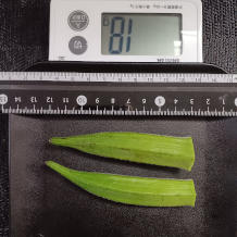 オクラ2本 18g