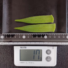 オクラ 17g