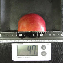 りんご 47g