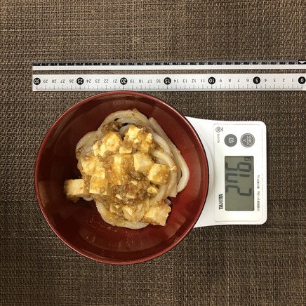 半人前の麻婆うどん