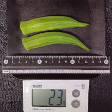オクラ2本 23g