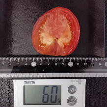 トマト 60g