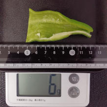 ピーマン 6g