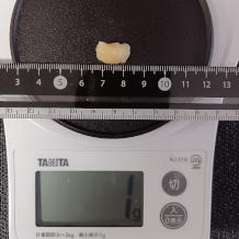 おろしにんにく 1g