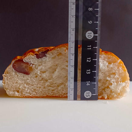 豆パン1個111gの厚さ約5㎝