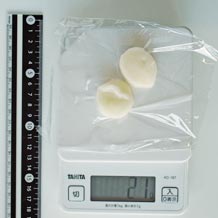 即席インスタント白玉2個 21g