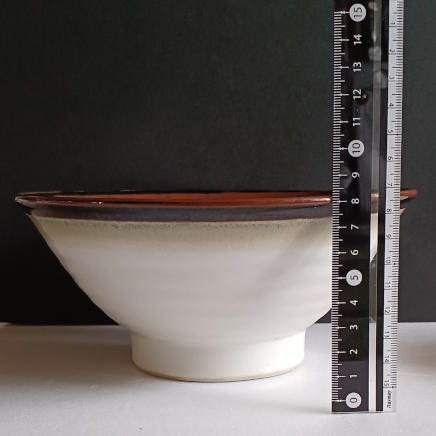 横から見た丼ぶり 高さ約8cm