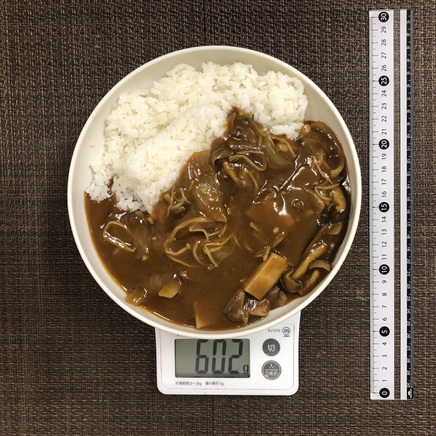 大皿1皿分・1人前のきのこカレー