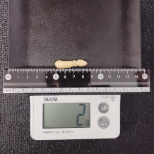 おろしにんにく 2g