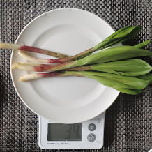 行者にんにくの酢味噌和え 1