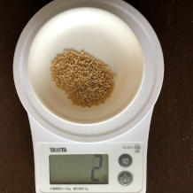 無限キャベツ 2