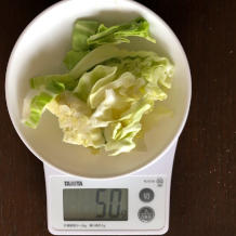 無限キャベツ 5