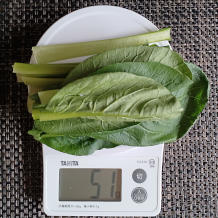 小松菜とバナナのスムージー 2