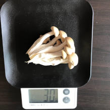 小松菜としめじのおひたし 4