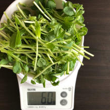 豆苗のおひたし 5