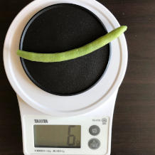 玉ねぎといんげんの味噌汁 3